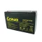 Batterie SAGA 6V - 12A FRX