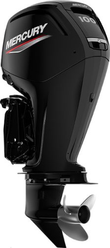 Mercury F100 L EFI