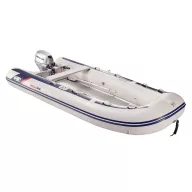 Honda-Schlauchboot T40 AE3