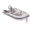 Honda-Schlauchboot T25 AE3