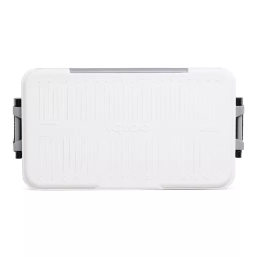 Kühlbox Igloo 23 Liter 52,22 x 26,56 x 33,17 cm EVA
