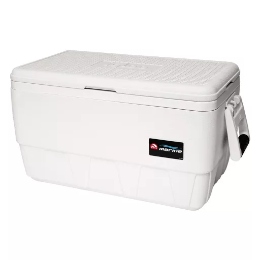 Kühlbox Igloo 23 Liter 52,22 x 26,56 x 33,17 cm EVA