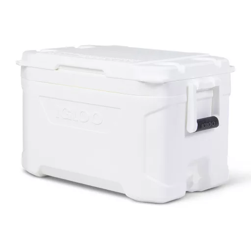 Kühlbox Igloo 23 Liter 52,22 x 26,56 x 33,17 cm EVA