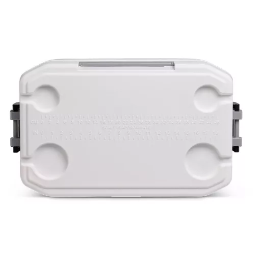 Kühlbox Igloo 51 Liter 62,5 x 38 x 41,5 cm EVA