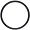 Haswing Lager O-Ring für Cayman B80, B101 GPS Modelle HSW