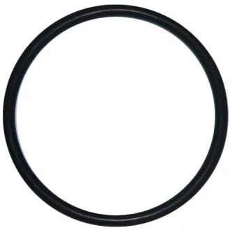 Haswing O-Ring für Protruar 1,2,3, Ultima HSW