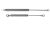 Gasdruckfeder INOX 700x22 mm EVA