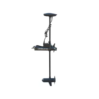 Haswing Cayman B80 D 149 cm