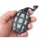 Haswing Cayman B GPS-Fernbedienung V1.5