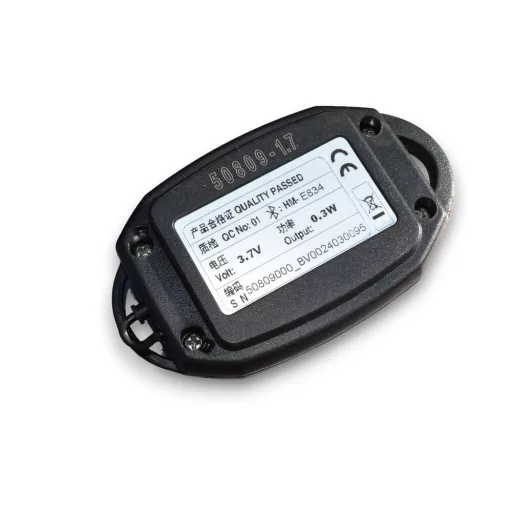 Haswing Cayman B GPS Fernbedienung 2,4GHz