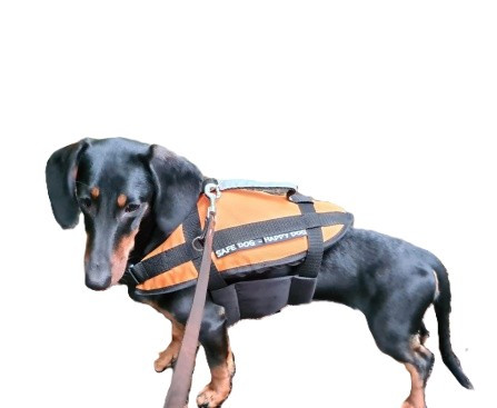 Hundeschwimmhilfe  15-40kg      Orange