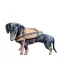 Hundeschwimmhilfe  15-40kg      Orange
