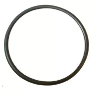 Minn Kota O-Ring Endura 