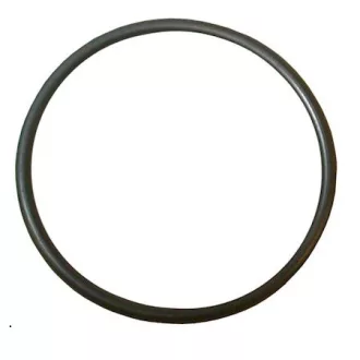 Minn Kota O-Ring Endura 