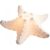Seestern-Kerzenhalter 