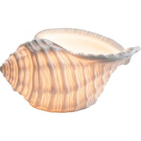 Meeresschnecke mit Kerzenhalter 