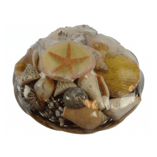 Korb voller Muscheln 