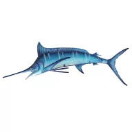 Kartenfisch 82cm 